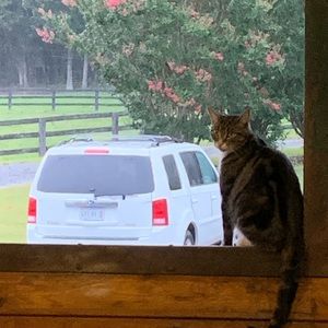 Meet your Posher, Sherry